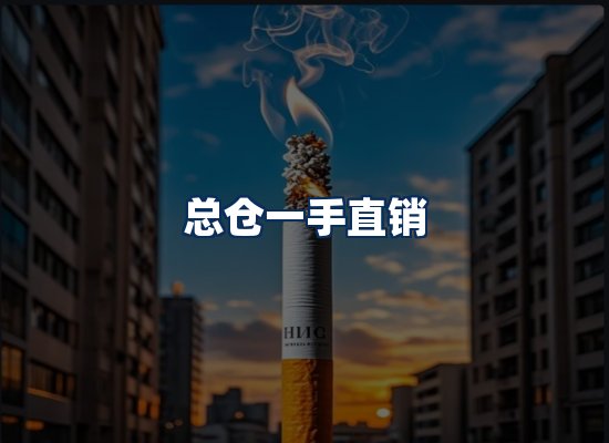 专业团队办公环境